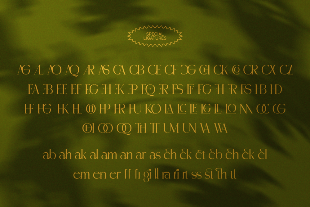 madhik-bagimar-elegant-luxury-serif-font-enxyclo-studio-17.png