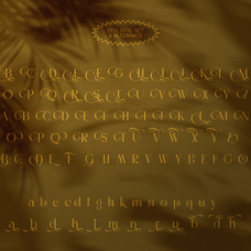 madhik-bagimar-elegant-luxury-serif-font-enxyclo-studio-18.png