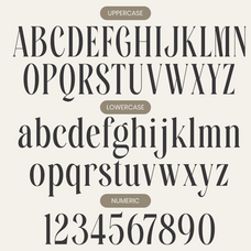 mafesta-elegant-condensed-serif-font-say-studio-8.png
