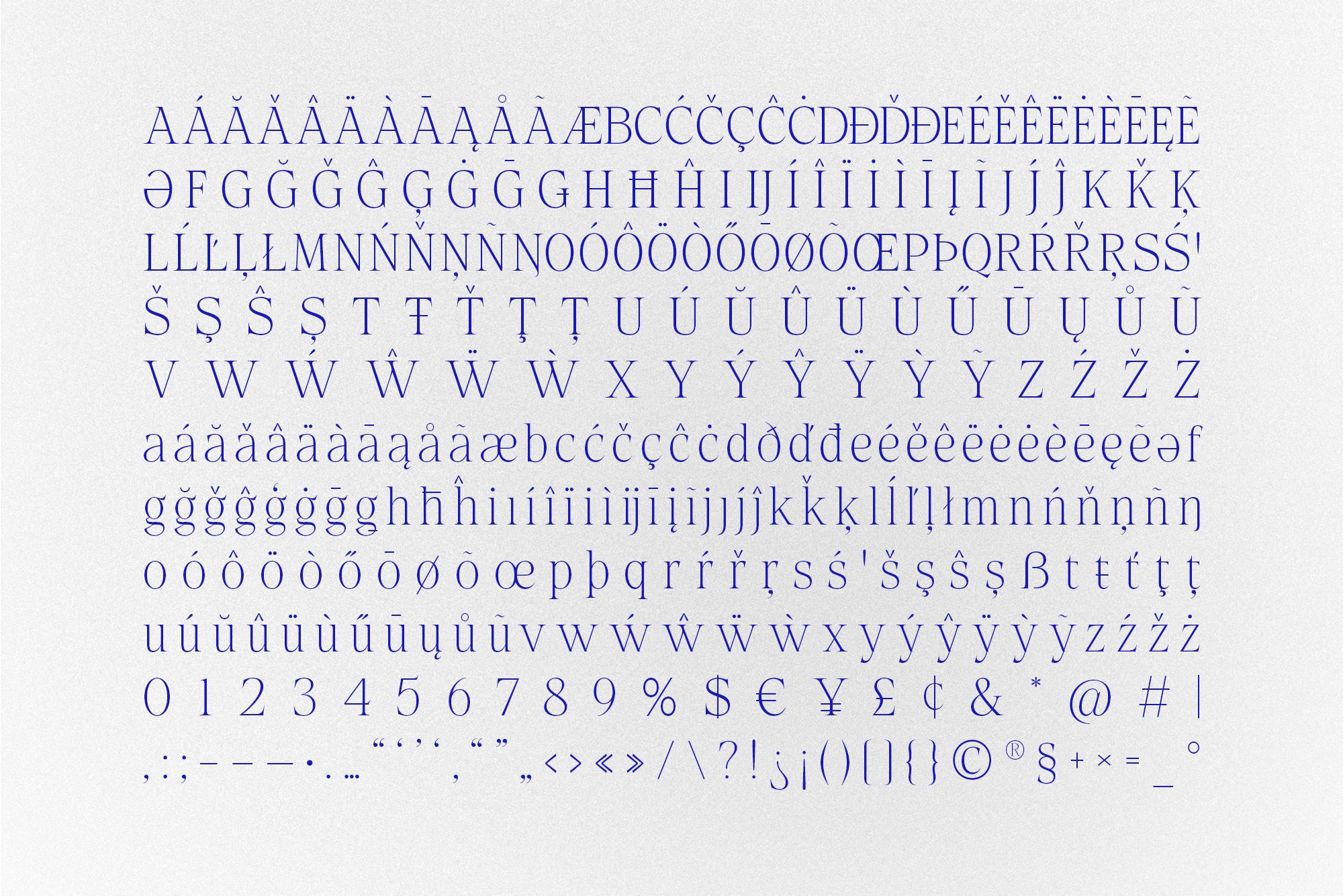 magakoro-elegant-serif-casloop-studio-4.jpg