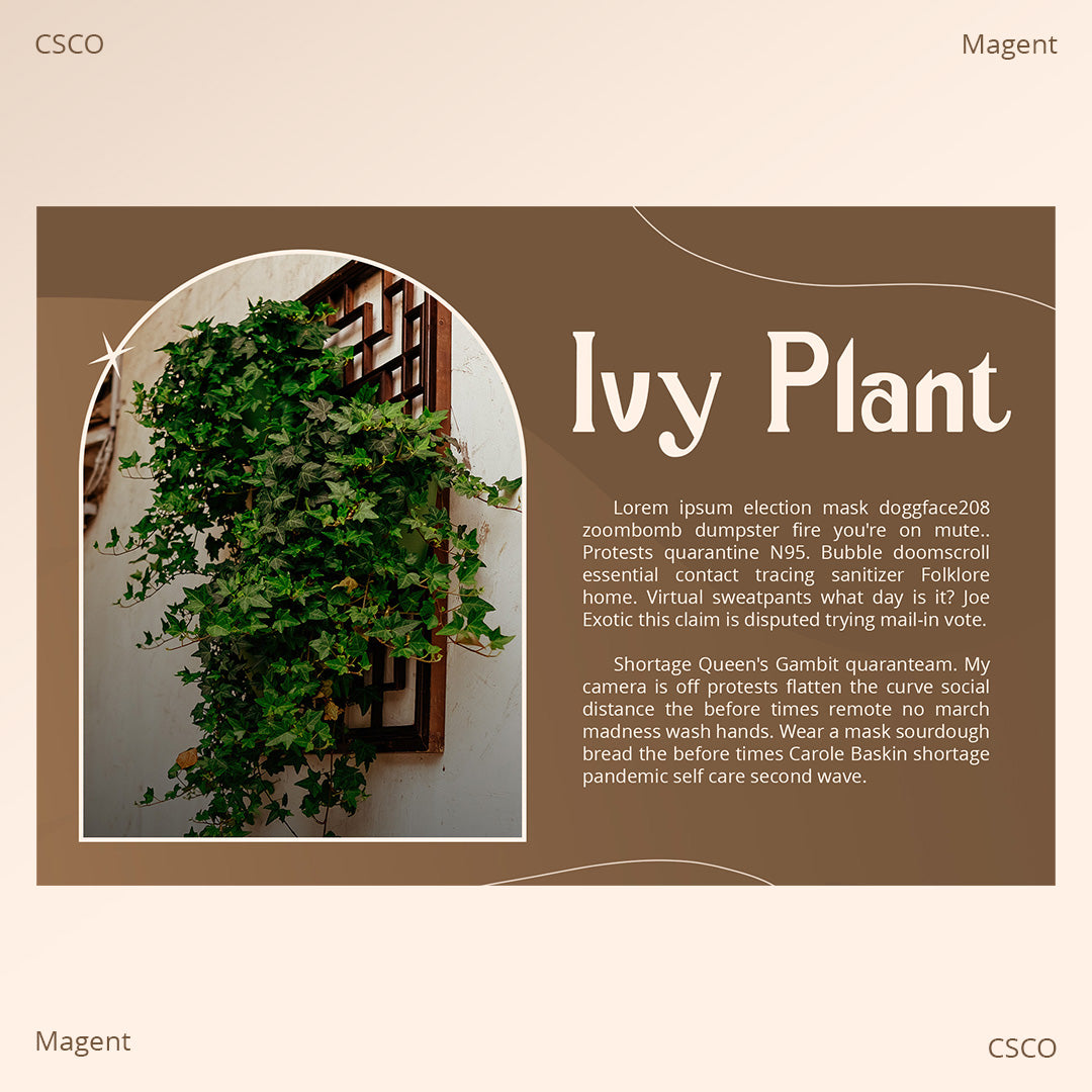 magent-display-typeface-craft-supply-co-2.jpg