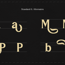 magnavella-display-decorative-serif-font-rasio-std-4.png
