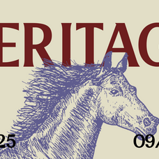 magnavella-display-decorative-serif-font-rasio-std-6.png