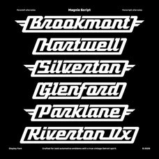 magnie-indie-rock-display-font-spencer-sons-10.jpg