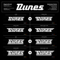 magnie-indie-rock-display-font-spencer-sons-4.jpg