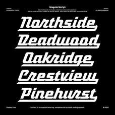 magnie-indie-rock-display-font-spencer-sons-8.jpg