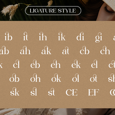 malgiva-stylish-ligature-serif-font-ragamkata-studio-10.png