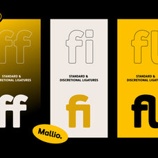 mallio-rounded-modern-display-font-drizy-font-5.jpg