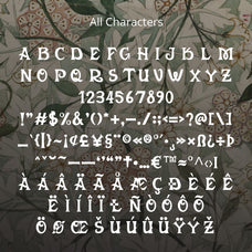 manoer-display-serif-craft-supply-co-8.jpg