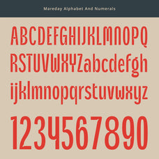 mareday-inktrap-font-craft-supply-co-8.jpg