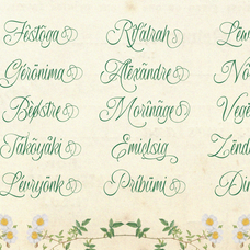 maulieda-remighe-elegant-luxury-wedding-font-enxyclo-studio-10.png