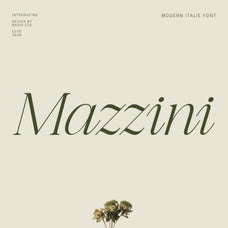 mazzini-modern-italic-font-unknown-creator-1.jpg