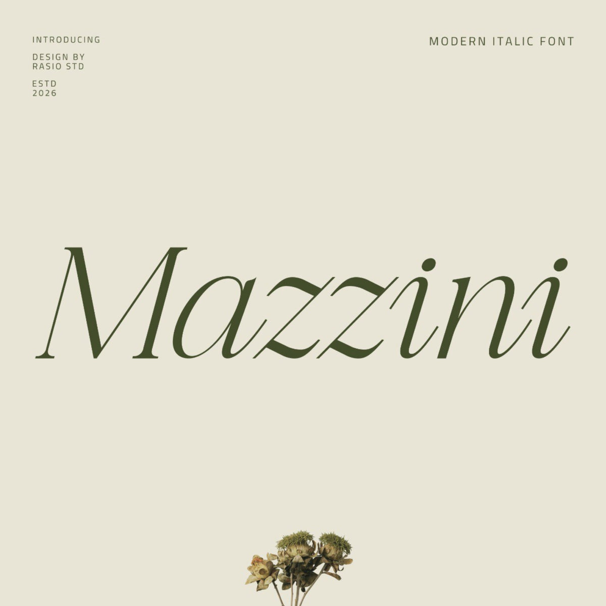 mazzini-modern-italic-font-unknown-creator-1.jpg