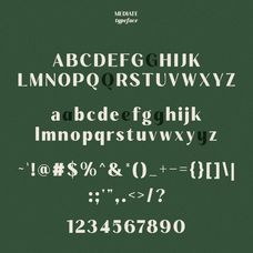 mediate-bold-elegant-luxury-sans-serif-font-ragamkata-studio-10.png