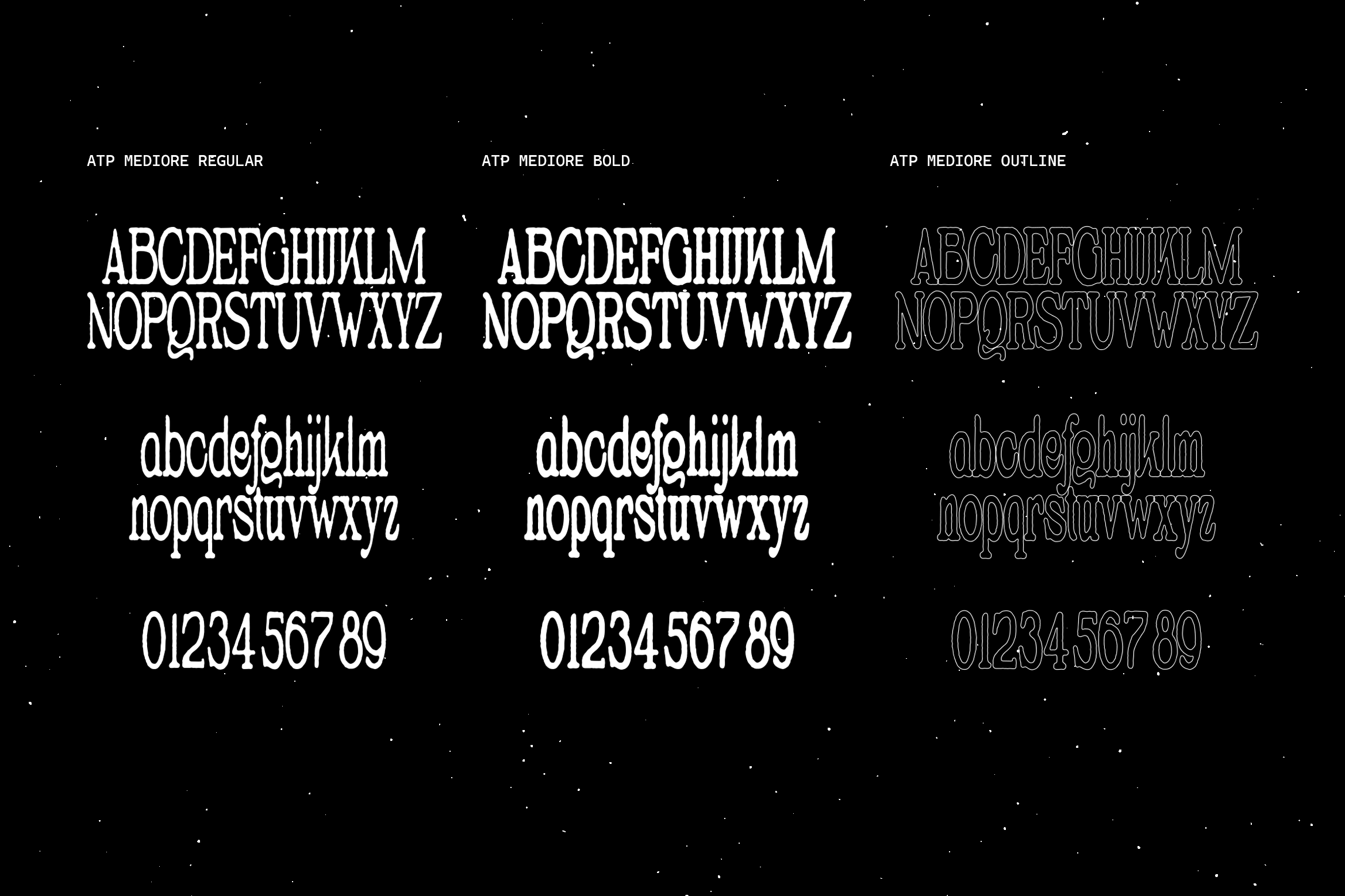 mediore-retro-editorial-serif-typeparties-10.png