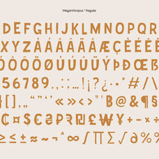 meganthropus-vintage-rough-display-casloop-studio-4.jpg