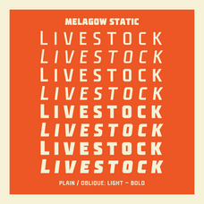 melagow-variable-display-font-unknown-creator-3.png