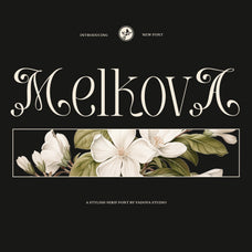 melkova-stylish-serif-font-vadova-studio-1.jpg