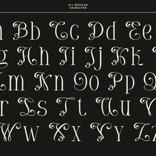 melkova-stylish-serif-font-vadova-studio-2.jpg