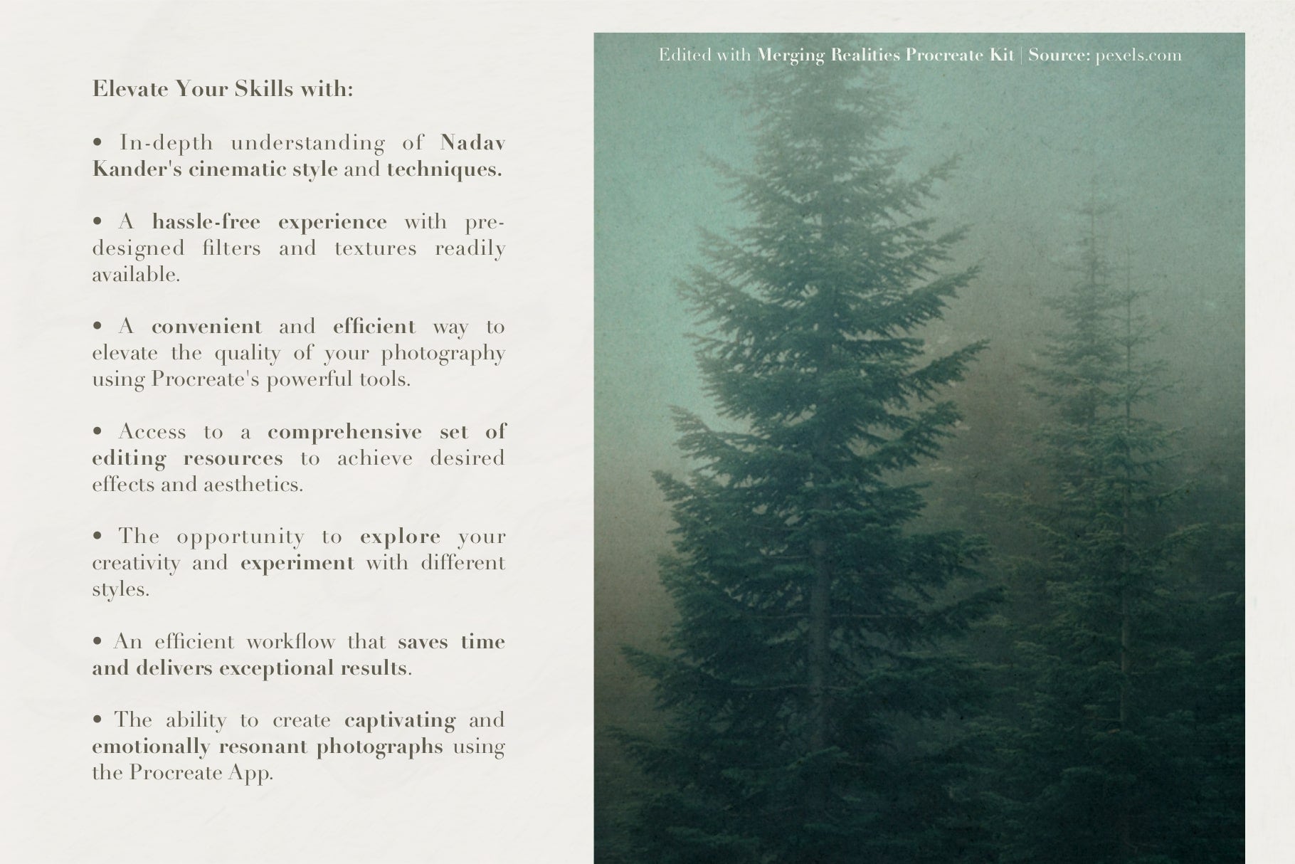 Merging Realities Procreate Kit | Photography Toolbox