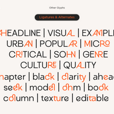 meronny-geometric-ligature-sans-serif-font-say-studio-3.png