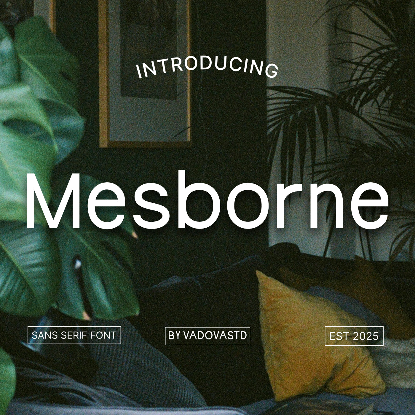 mesborne-sans-serif-font-vadova-studio-1.jpg