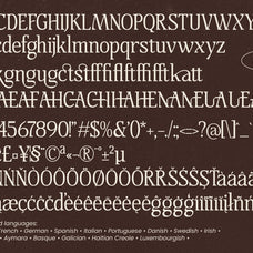 mestalight-elegant-editorial-serif-amorfatype-studios-8.jpg