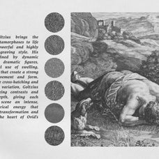 metamorphoses-of-ovid-procreate-kit-digi-life-5.jpg