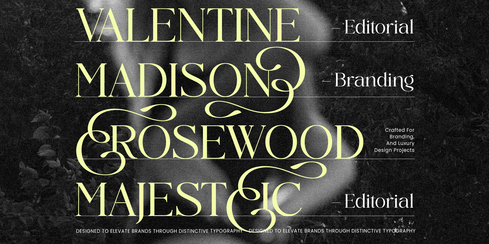 midnight-cafe-society-elegant-serif-amorfatype-studios-3.png