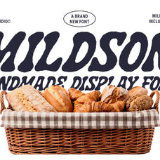 mildson-handmade-display-font-blankids-11.jpg