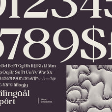 mindken-transitional-serif-amorfatype-studios-6.jpg