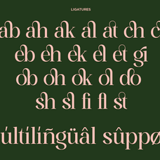 mirable-luxury-ligature-serif-font-fontliner-11.png