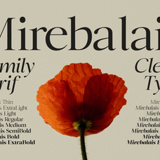 mirebalais-marvadesign-2.png