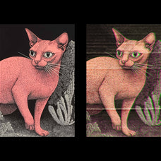 misprint-effect-unknown-creator-5.jpg