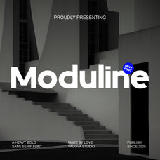 moduline-heavy-bold-sans-serif-font-vadova-studio-1.jpg