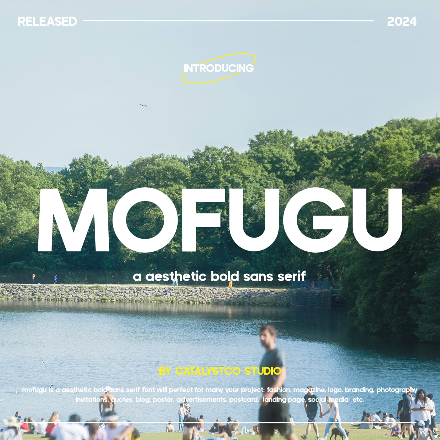 mofugu-aesthetic-bold-sans-serif-font-catalystco-studio-1.jpg