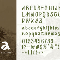 mograph-wild-handwritten-font-sarid-ezra-10.jpg