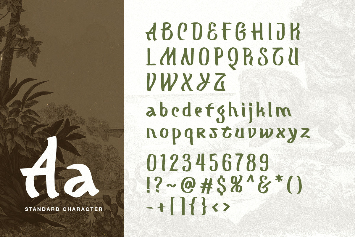 mograph-wild-handwritten-font-sarid-ezra-10.jpg