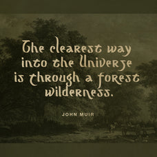 mograph-wild-handwritten-font-sarid-ezra-7.jpg