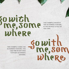 mograph-wild-handwritten-font-sarid-ezra-8.jpg