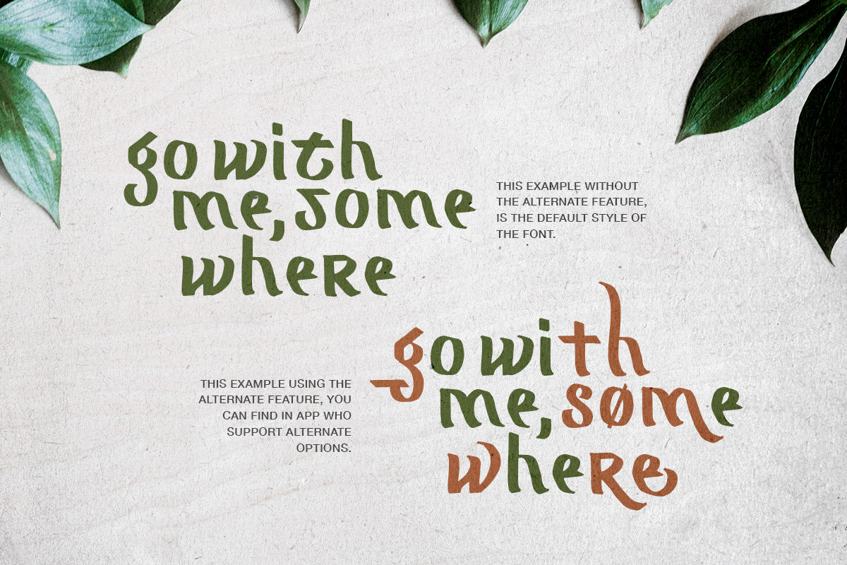 mograph-wild-handwritten-font-sarid-ezra-8.jpg