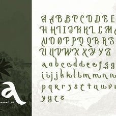 mograph-wild-handwritten-font-sarid-ezra-9.jpg