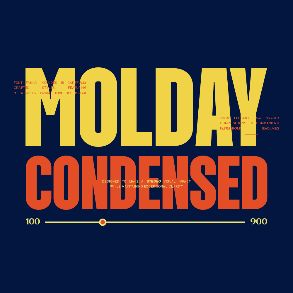 molday-modern-condensed-sans-serif-font-family-roomspace-creative-lab-1.png