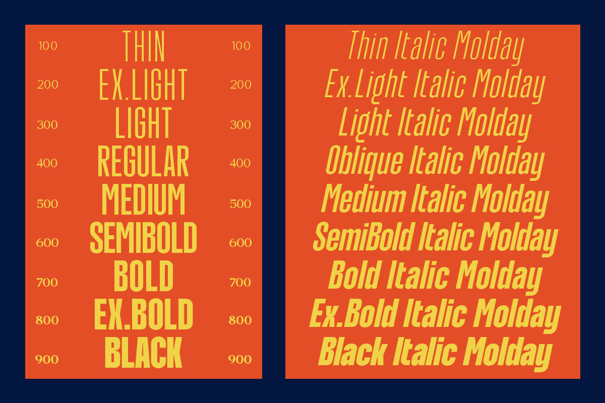 molday-modern-condensed-sans-serif-font-family-roomspace-creative-lab-11.png