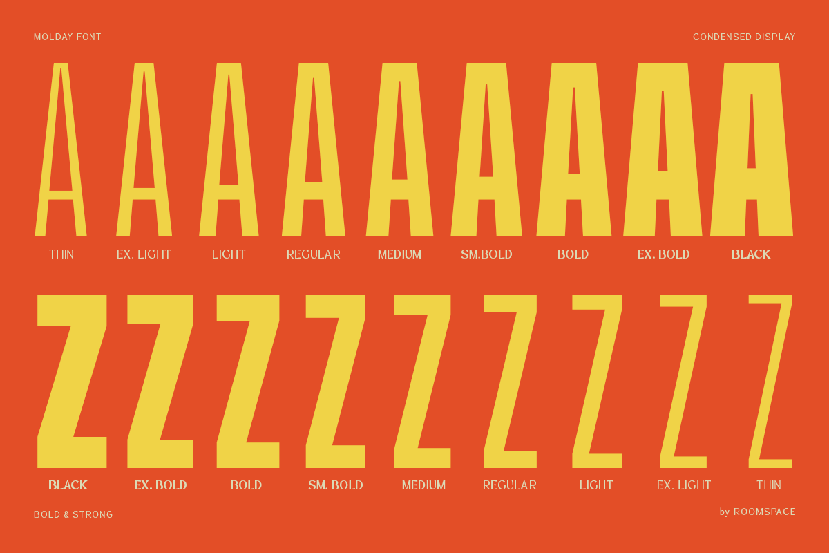 molday-modern-condensed-sans-serif-font-family-roomspace-creative-lab-2.png