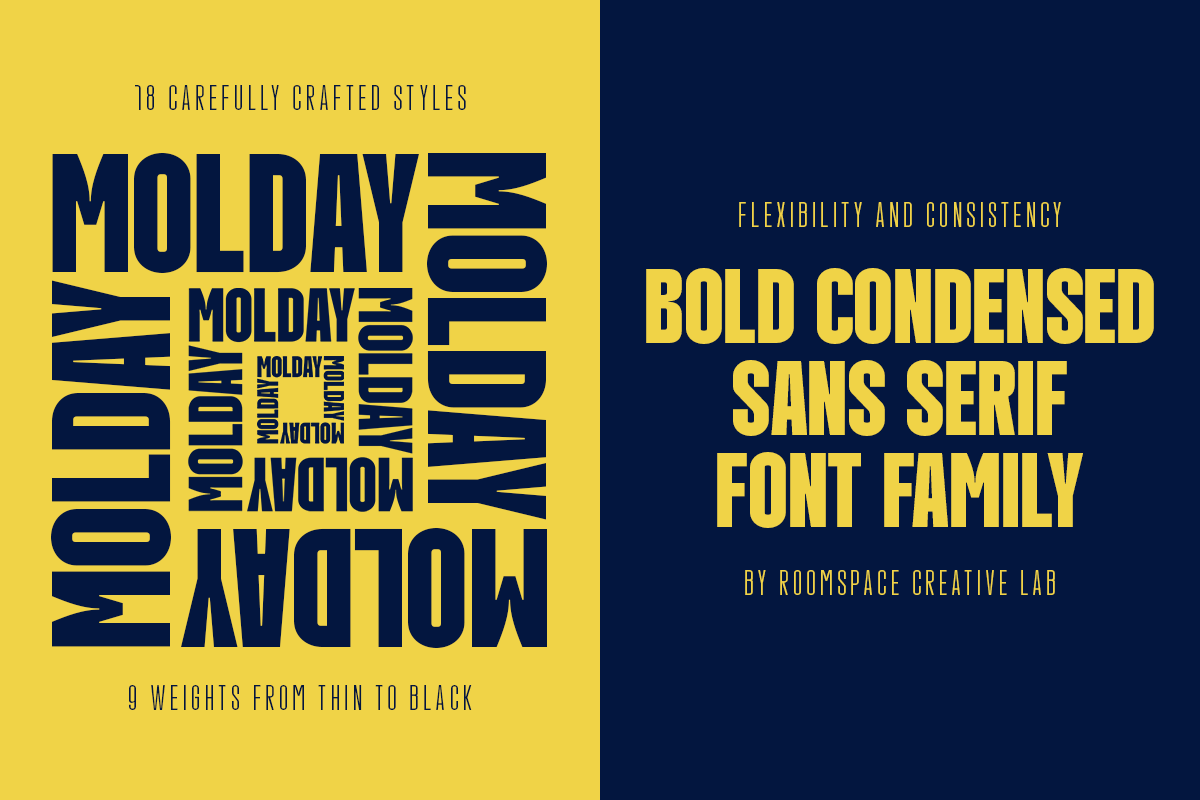molday-modern-condensed-sans-serif-font-family-roomspace-creative-lab-7.png