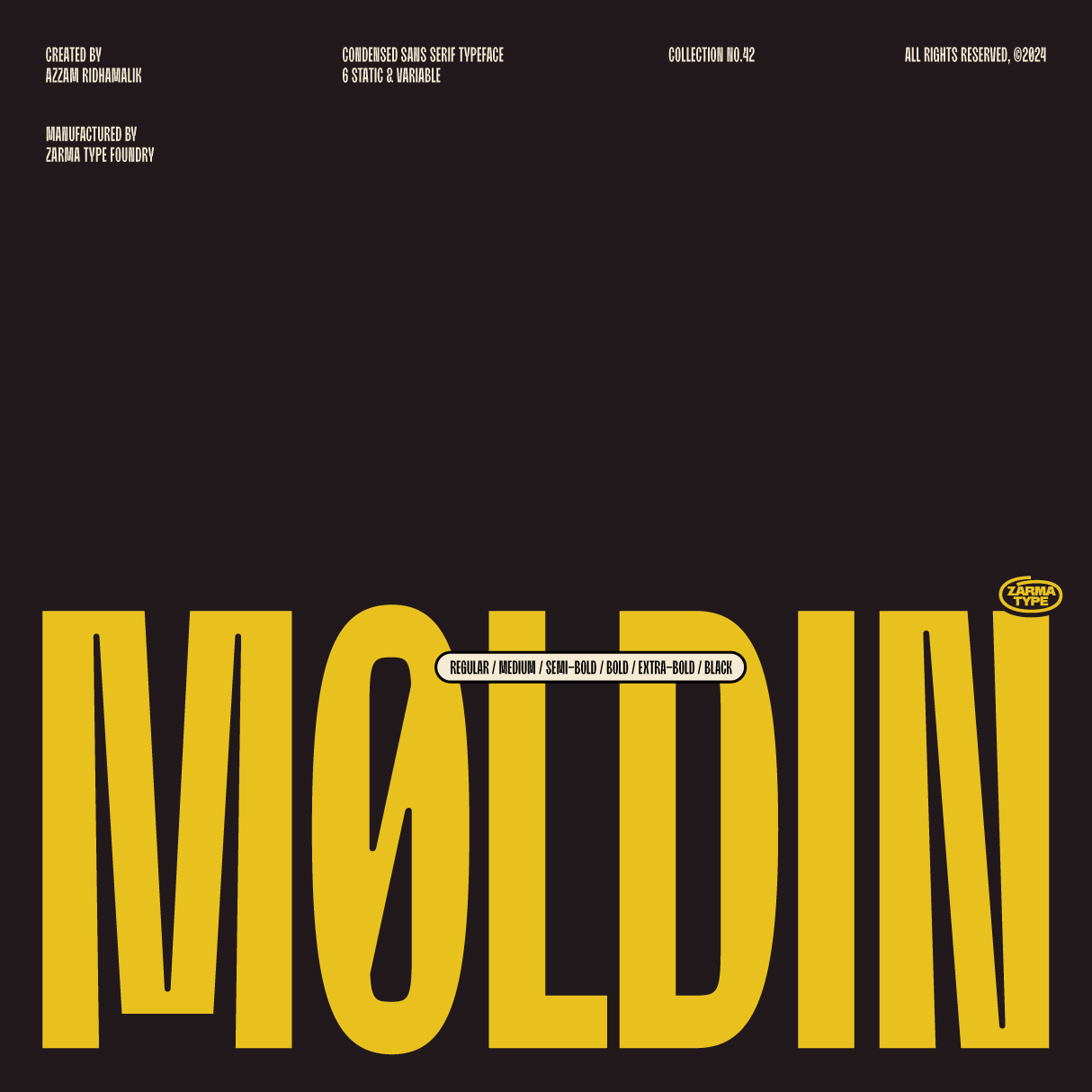 moldin-family-font-zarma-type-1.png