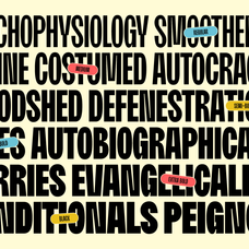 moldin-family-font-zarma-type-10.png