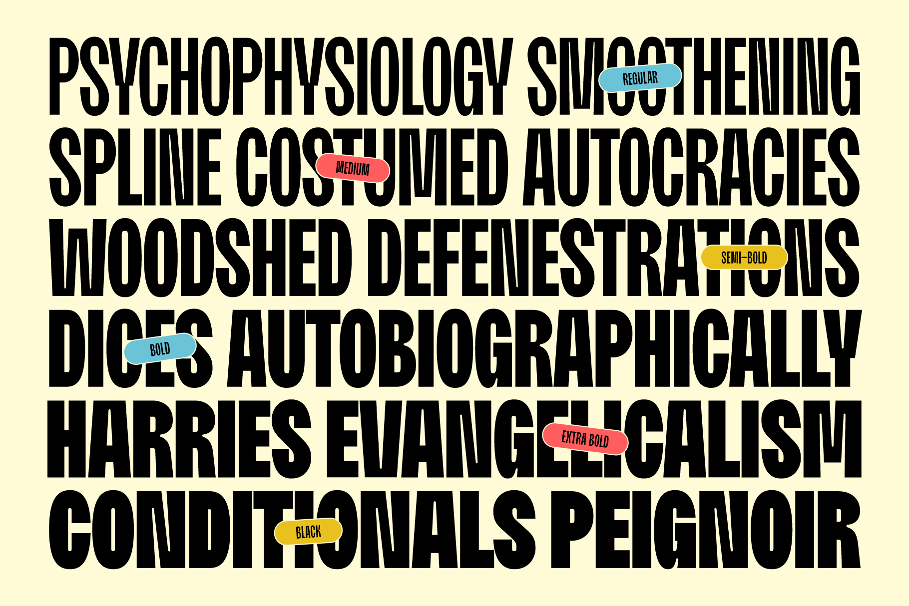 moldin-family-font-zarma-type-10.png