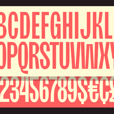 moldin-family-font-zarma-type-11.png
